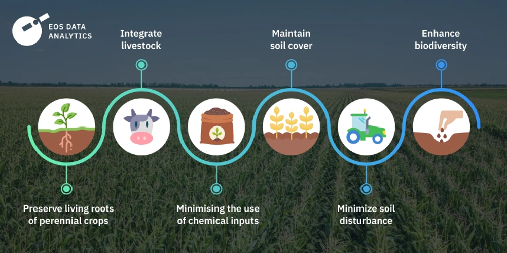 Regenerative Agriculture: Impact on Natural Flavour Quality