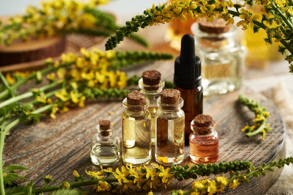 Choosing the Right Flavour Manufacturer for Your Food Business: A Complete Guide